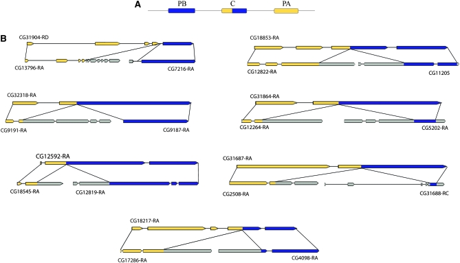 Figure 1.—