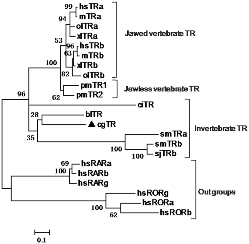 Fig 3