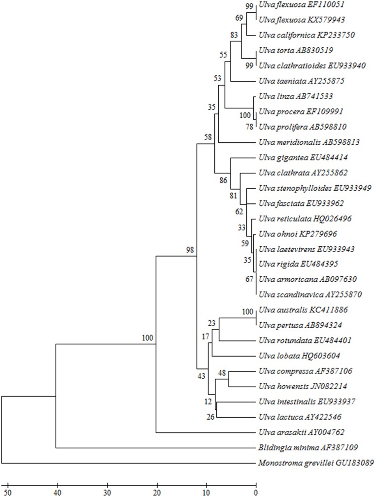 Fig 2