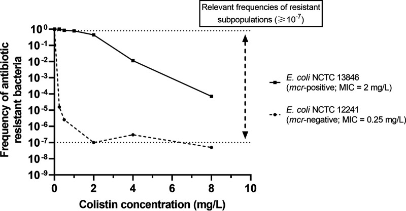 FIG 2