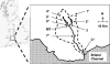 FIG. 1.