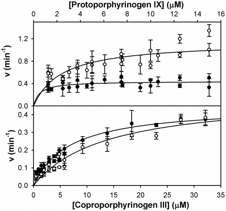 Figure 3.