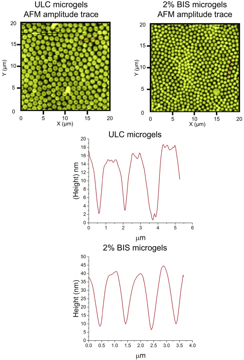 Fig. S1.