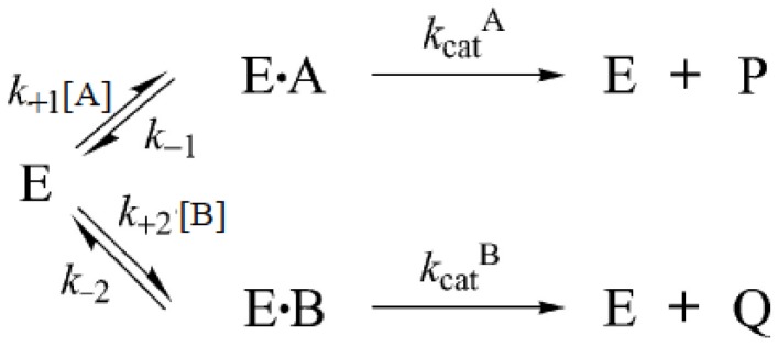 Scheme 5