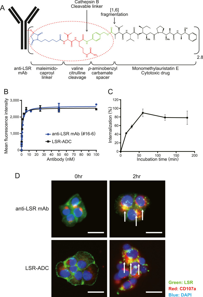 Fig. 2