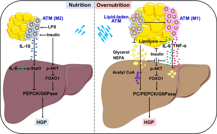 Figure 1