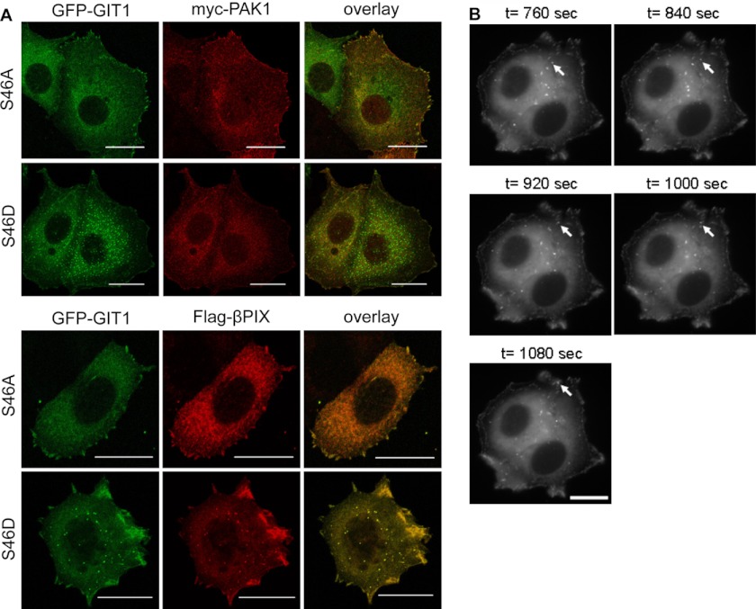 FIGURE 4.