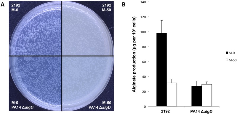 FIG 3