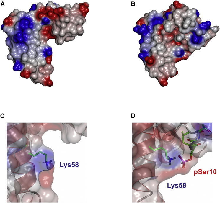 Figure 3