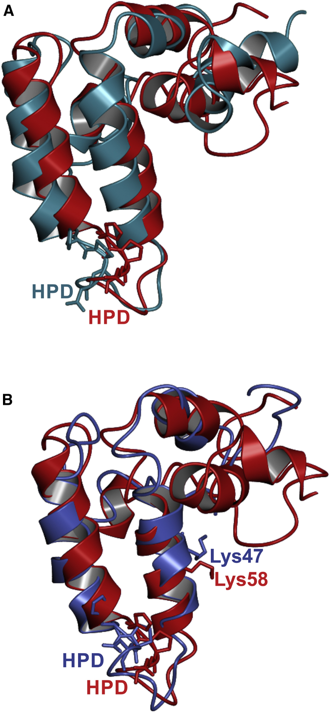 Figure 4