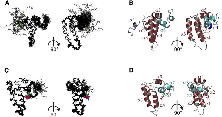 Figure 2