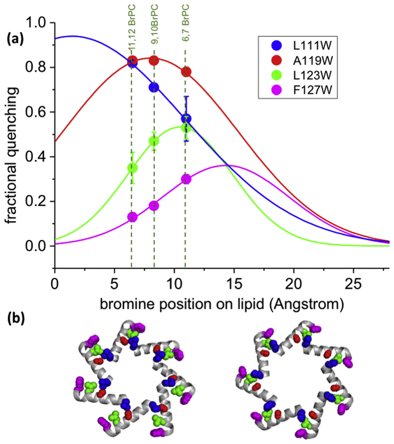 Figure 3: