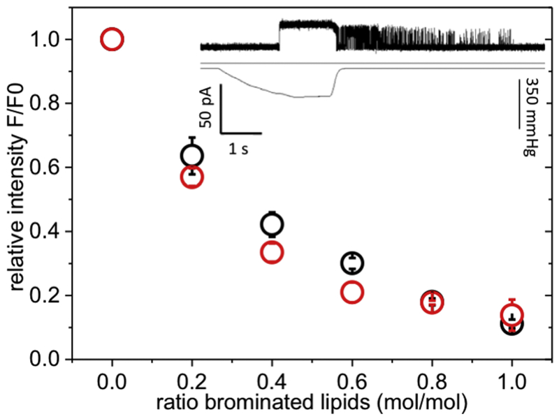 Figure 4: