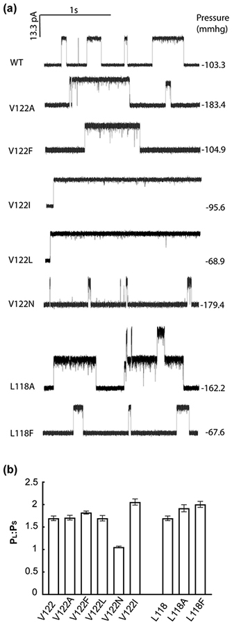 Figure 5.