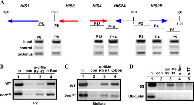 Figure 6.—