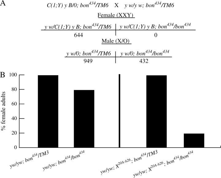 Figure 3.—