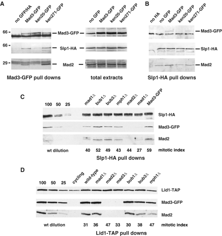 FIGURE 4.