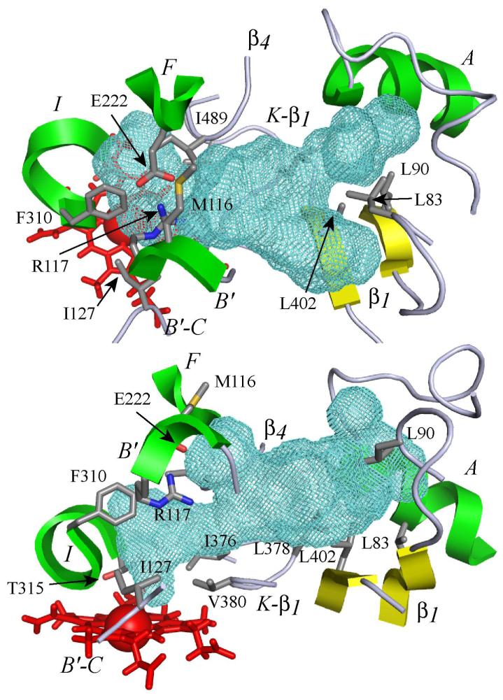 Figure 5