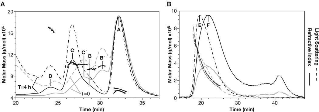 Fig. 8