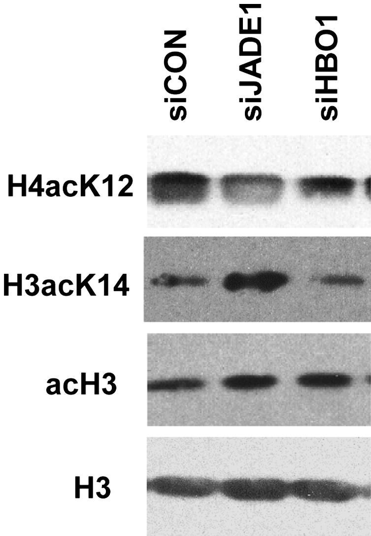 Figure 9