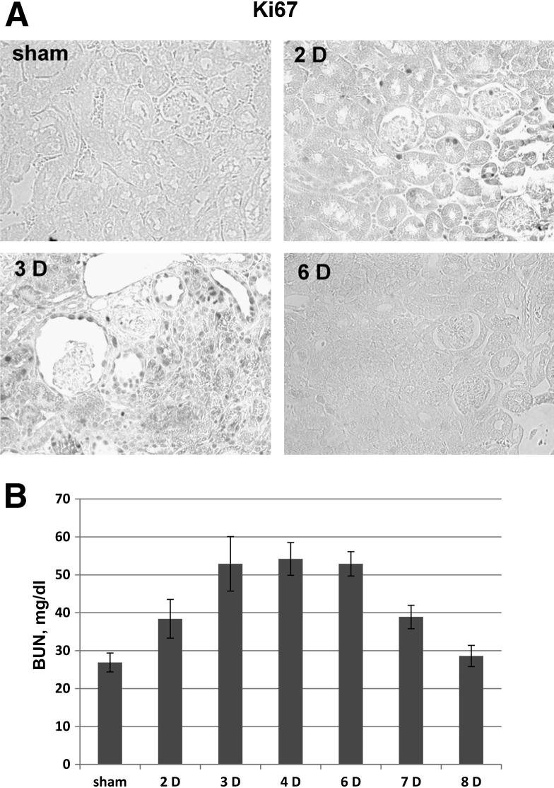 Figure 5