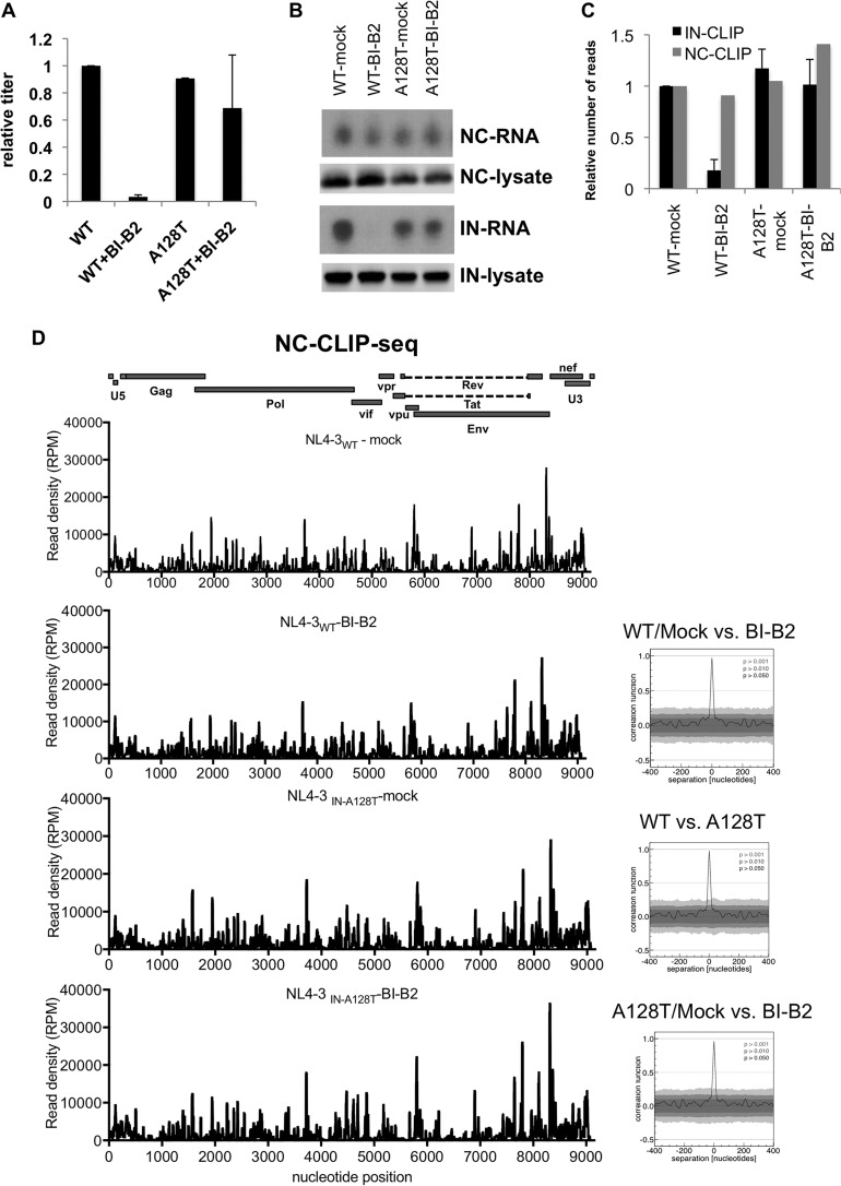 FIG 6