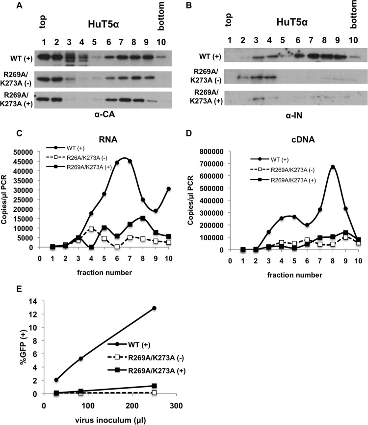 FIG 10