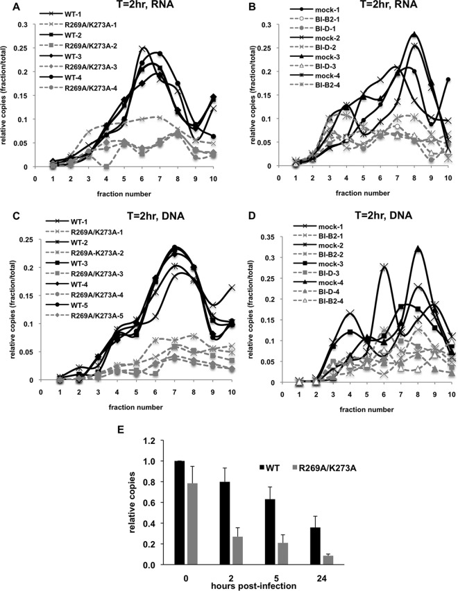 FIG 4