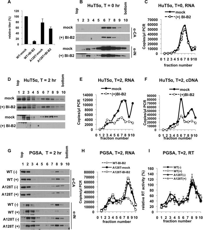 FIG 1