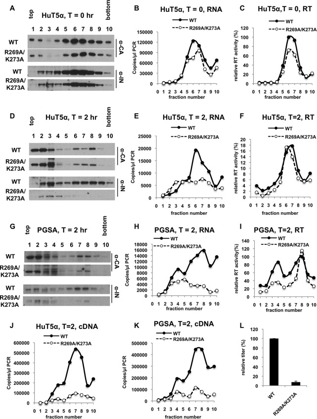 FIG 3