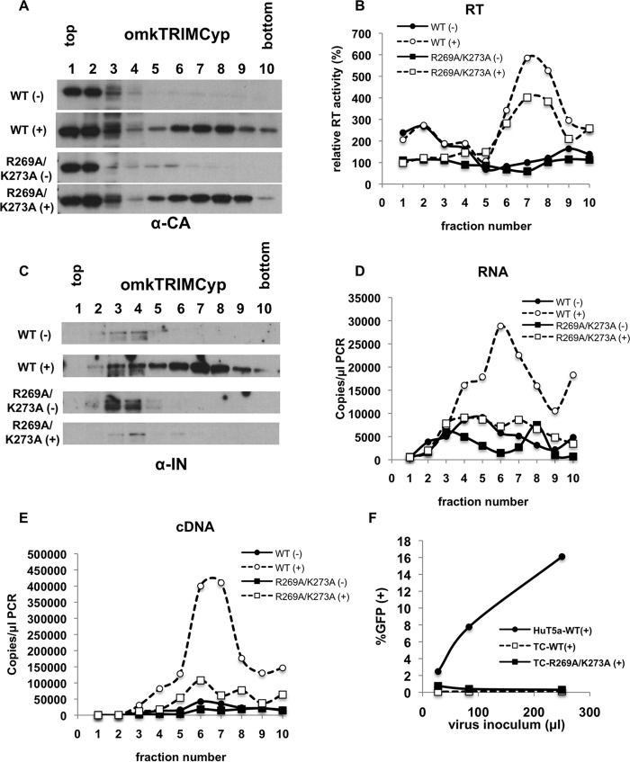 FIG 11