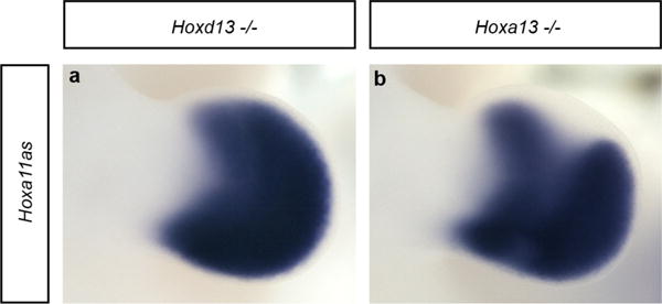 Extended Data Figure 4