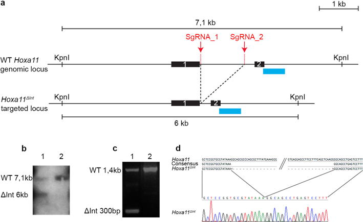 Extended Data Figure 2