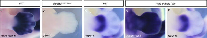 Extended Data Figure 1