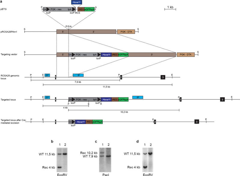 Extended Data Figure 6