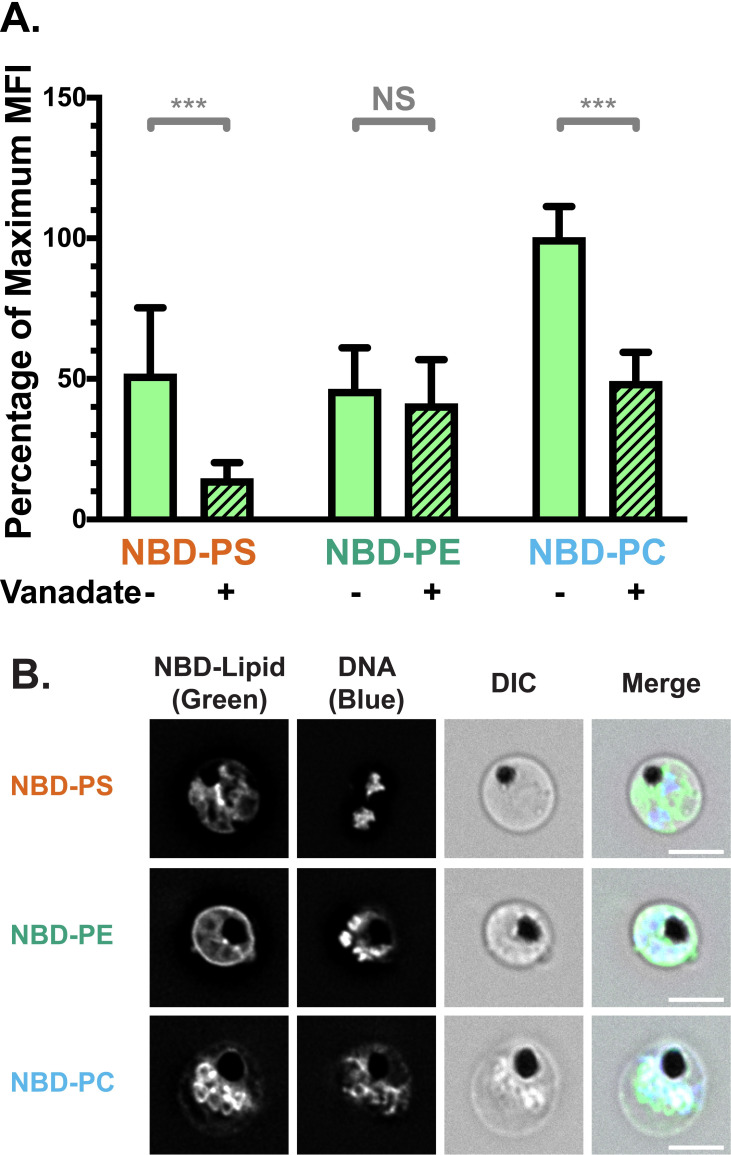 Fig 6