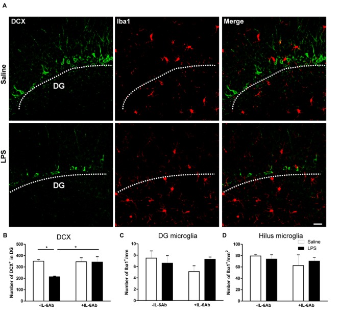 FIGURE 3