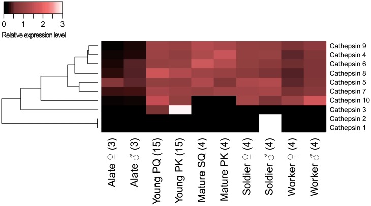 Fig 3