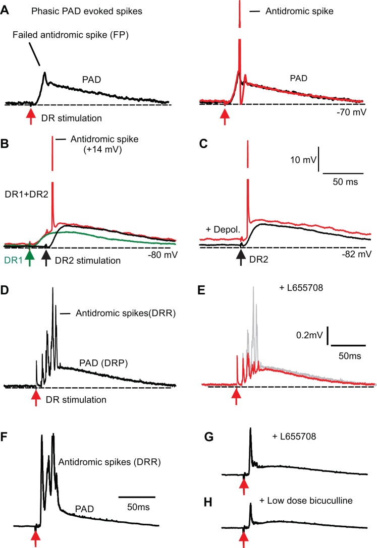 Fig. 9.