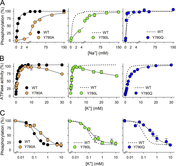 Figure 6.