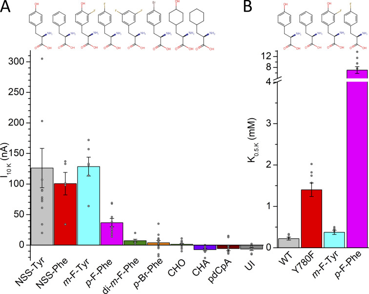 Figure 10.