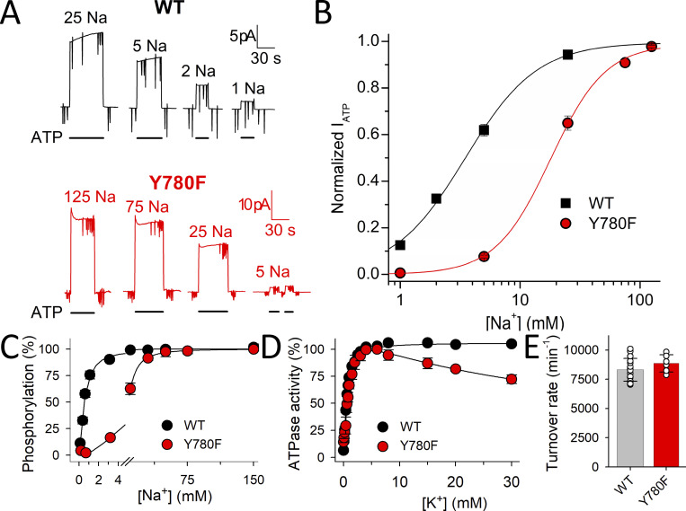 Figure 4.