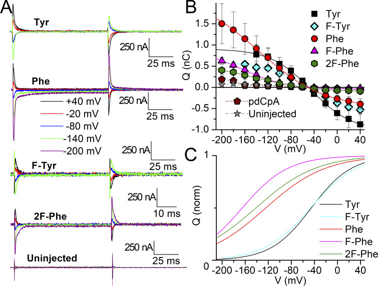 Figure 11.