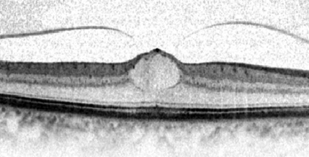 Fig. 9