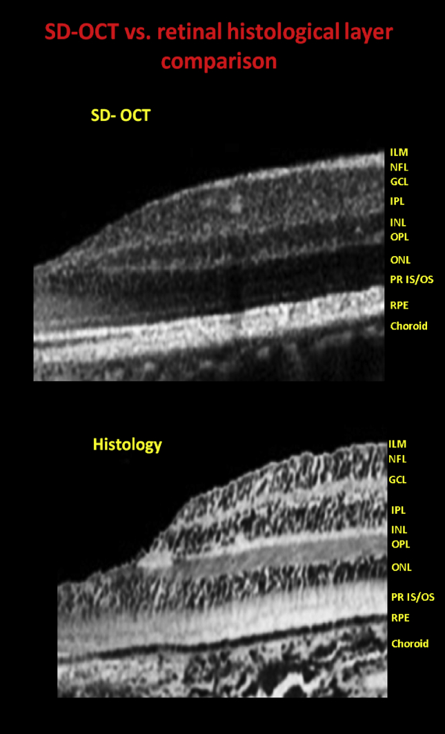 Fig. 3