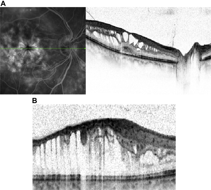 Fig. 7