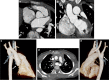 Fig. 8