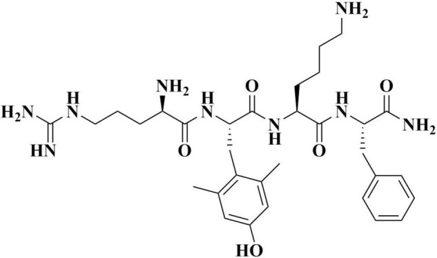 FIGURE 1