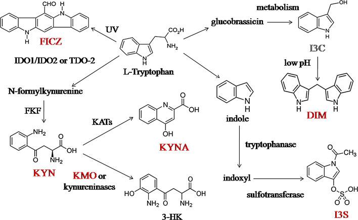 Fig. 3