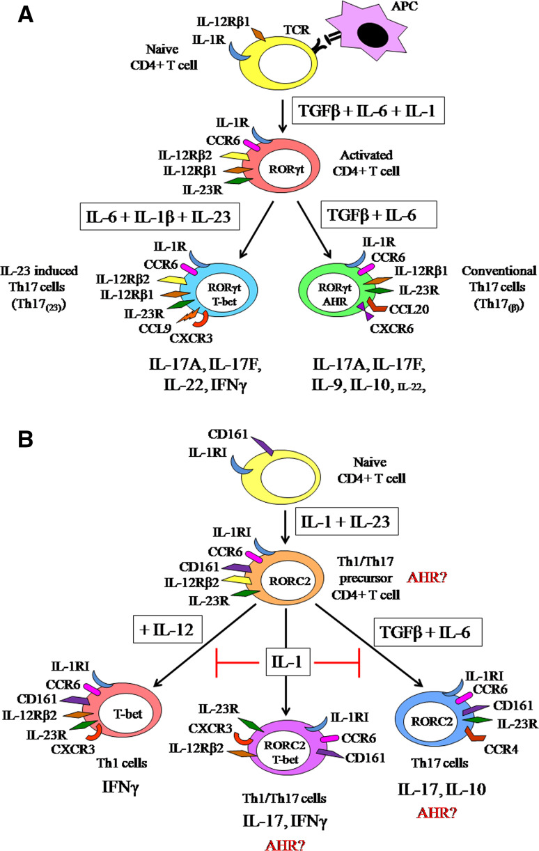 Fig. 2